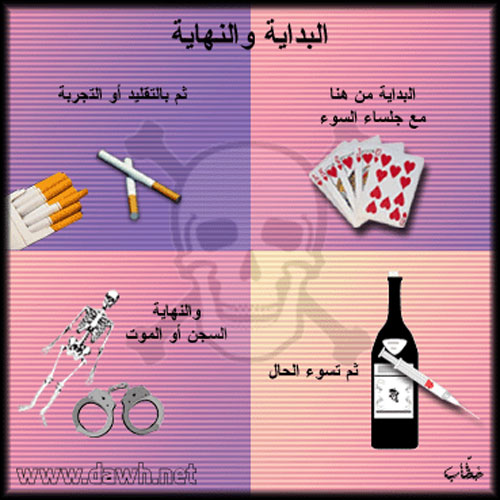 935.jpg