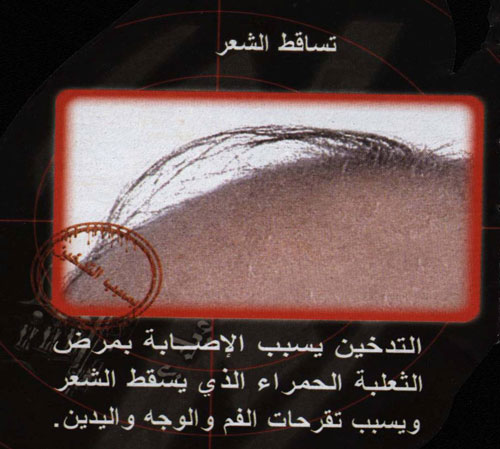 943.jpg