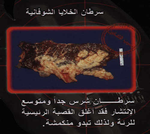 948.jpg
