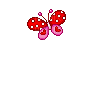 229.gif