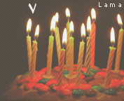 33.gif
