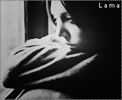 38.gif