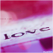 4.gif