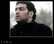 41.gif