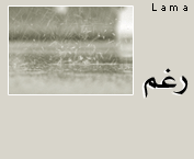 42.gif