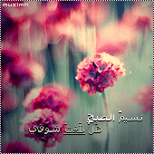 6.gif