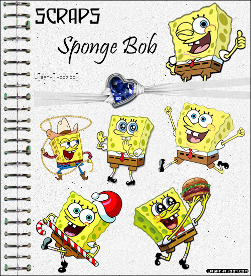 833.jpg