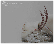 181.gif