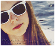 19.gif