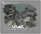195.gif