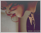 243.gif