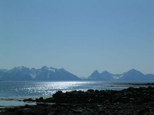 255.jpg