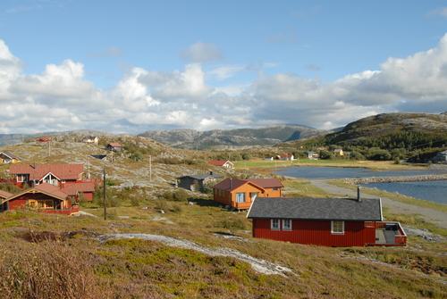 260.jpg