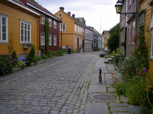 261.jpg