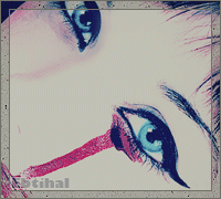 277.gif