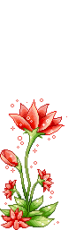 295.gif