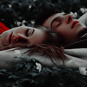 316.gif