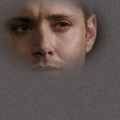 322.gif