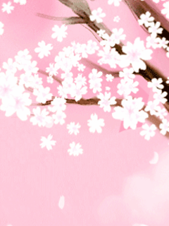 323.gif