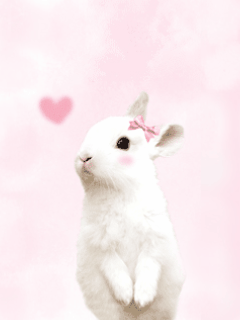324.gif