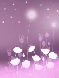 329.gif