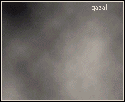 368.gif