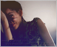 37.gif