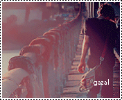 372.gif