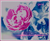 374.gif