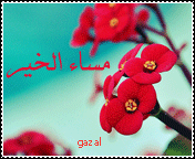 376.gif