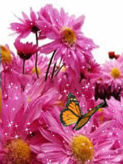 423.gif