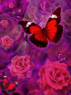 424.gif