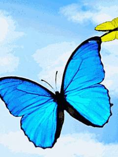 434.gif