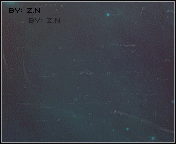 117.gif