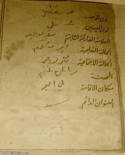 1315.jpg