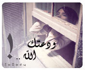 19.gif