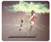 23.gif