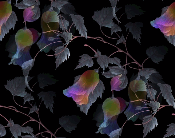 239.gif
