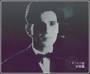 342.gif