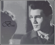 348.gif