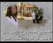 379.gif