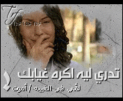 380.gif