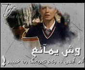 382.gif