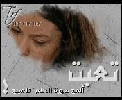 386.gif