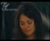 403.gif