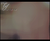 404.gif
