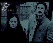 408.gif
