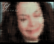 409.gif
