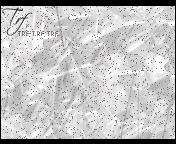 411.gif