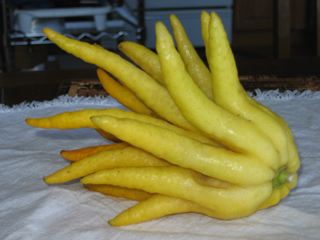 419.jpg